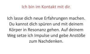 ueber-mich (2)