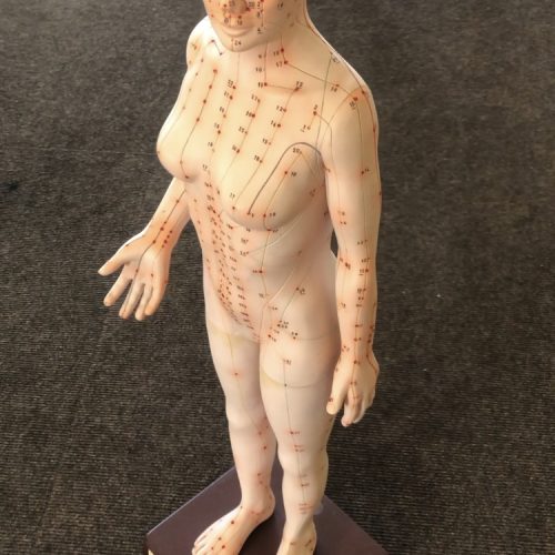 Akupunkturpraxis Marburg-Demonstrationsstatue Chinesische Medizin Frau